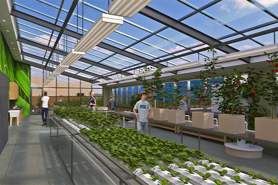 A rendering shows the hydroponic garden at the Frank J. Gargiulo Campus, with vegetables growing in systems that do not require soil.